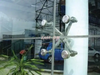 Stainless Steel Point Fixing Glass Curtain Walls 3 Arms Spider 
